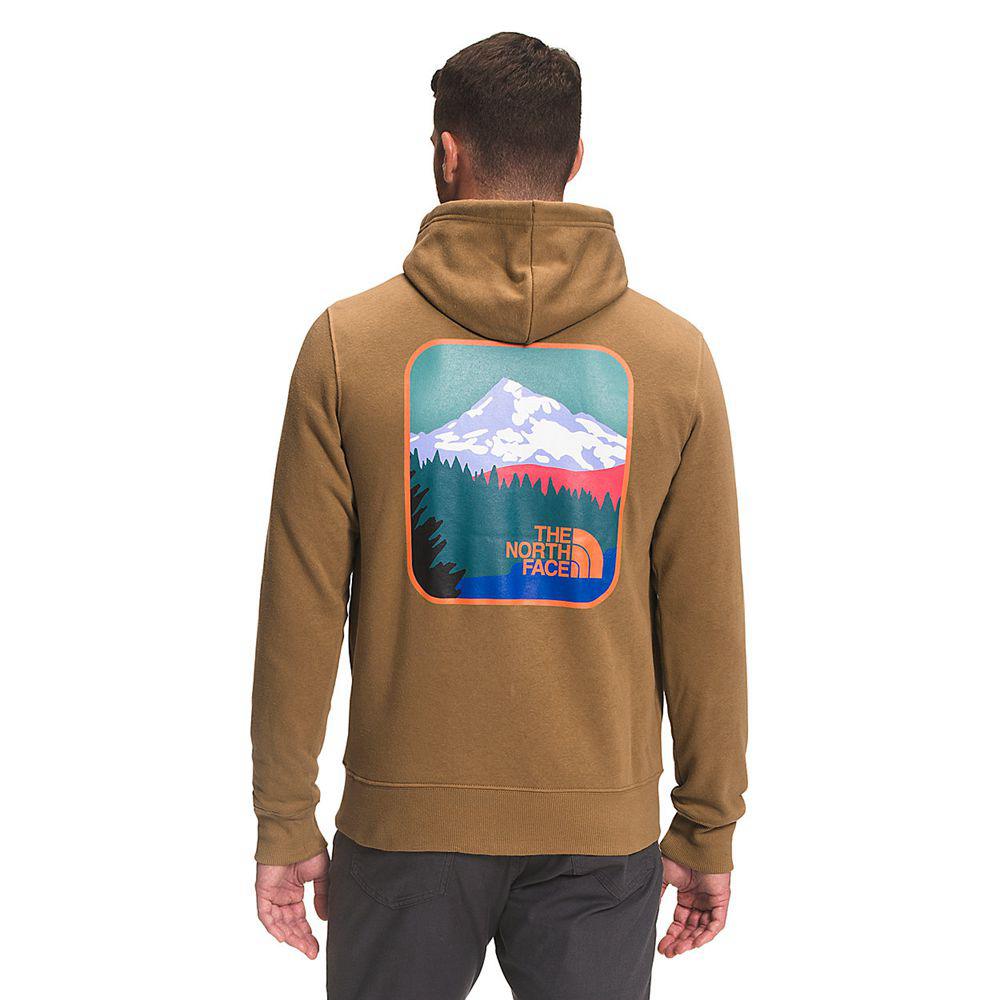 The North Face Parks Pullover Ανδρικα Φούτερ Hoodie - Καφε (CAMH96715)